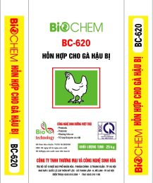 Hỗn hợp cho gà hậu bị