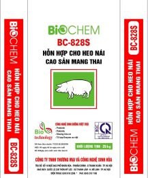 Hỗn hợp cho heo nái cao sản mang thai