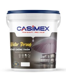 Sơn chông thấm pha xi măng CT6A.18L