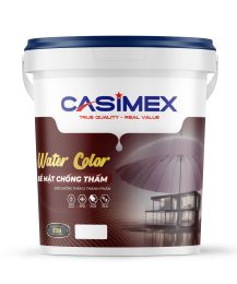 Sơn chông thấm màu CT9A.18L