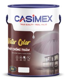 Sơn chông thấm màu CT9A.5L